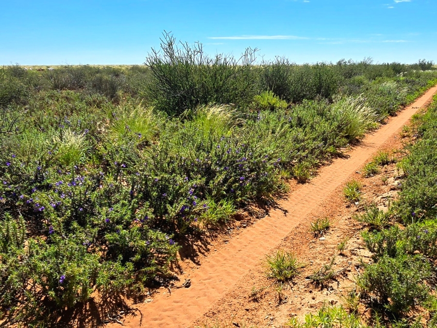 Commercial Property for Sale in Upington Rural Northern Cape